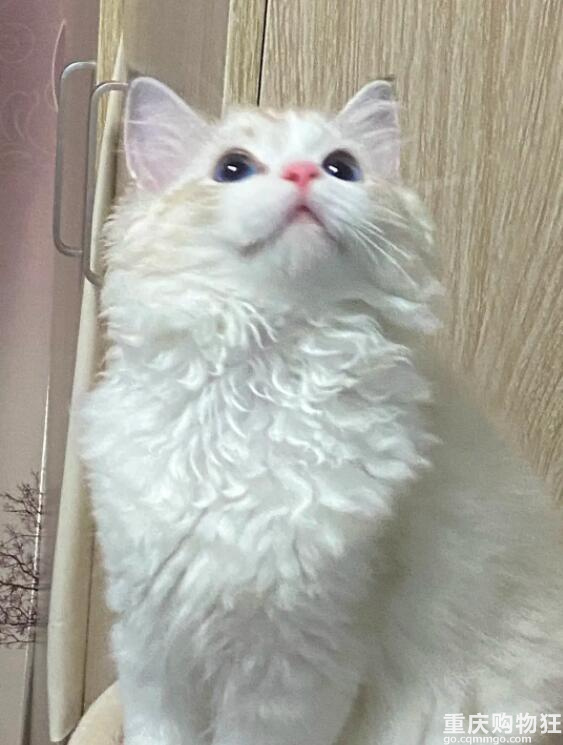 妈妈说公主不能低头，所以。。。