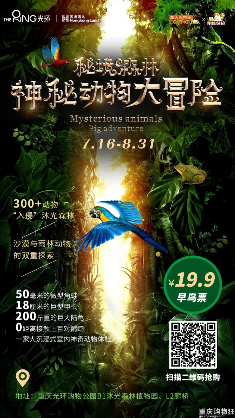 大夏天不用去户外公园晒太阳，在光环秘境森林就能看小动物！