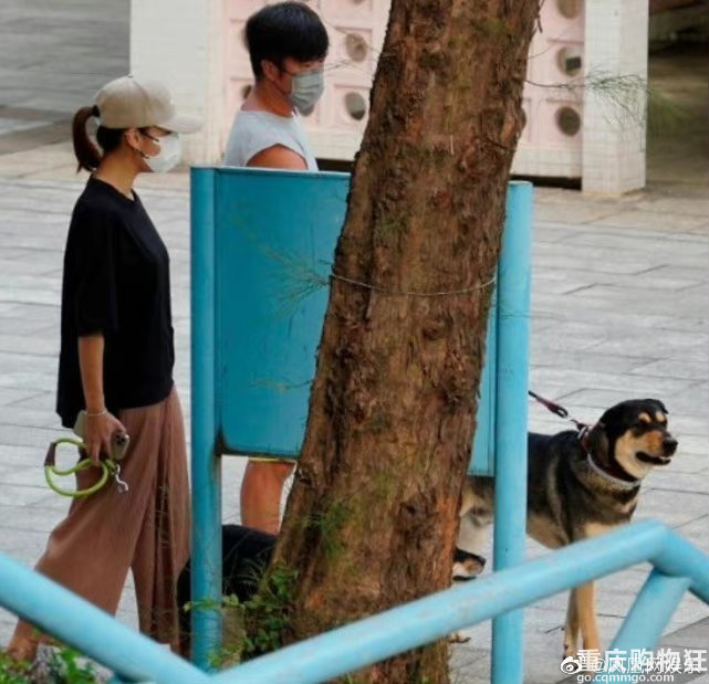 TVB黄心颖与乐队鼓手泥鯭一起在公园遛狗，大方承认新恋情