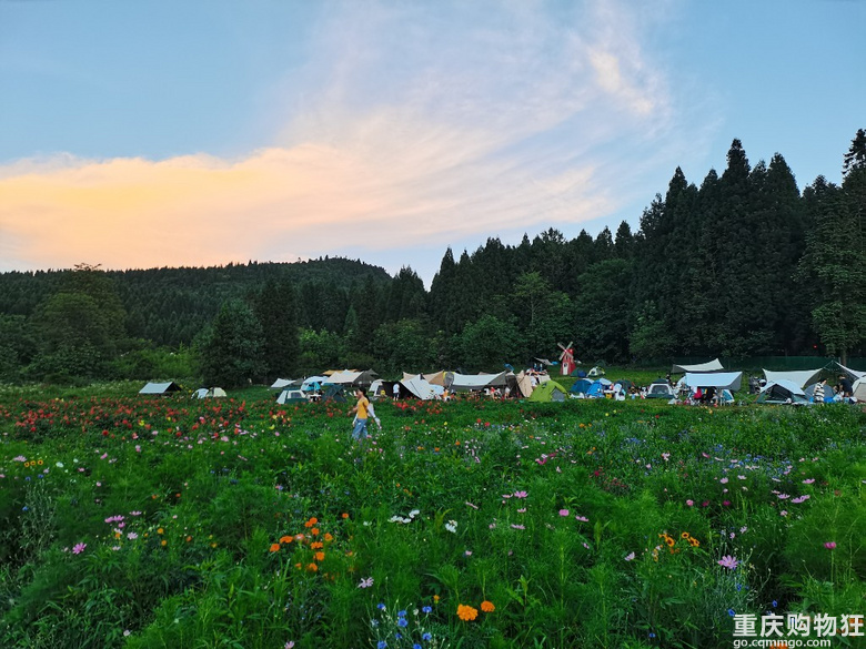 周末避暑露营第三行———武陵山国家森林公园