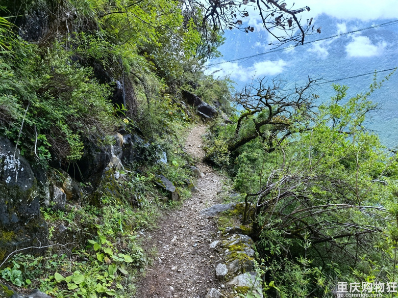 不一样的丽江：玉湖村、虎跳峡高线徒步、文海村、玉龙雪山