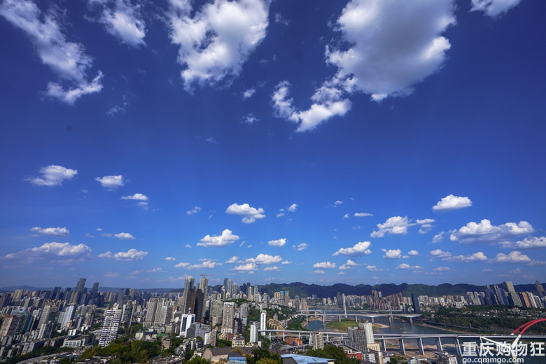一棵树、玉皇殿和瞰胜楼