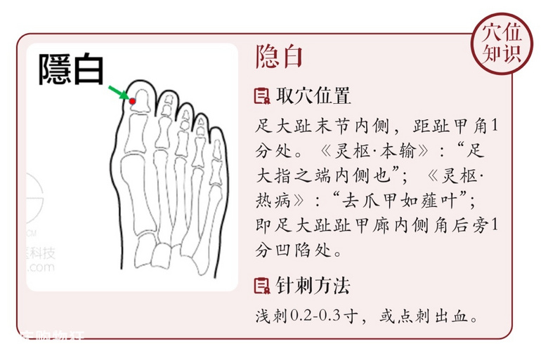 杨贵妃为什么偷吃阿胶？