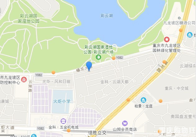 九龙坡区金科·云湖天都三室两厅128平95W