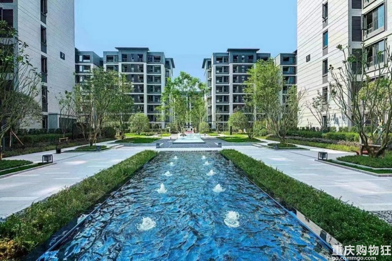 蔡家龙湖天街旁——商圈别墅！绿化率52%