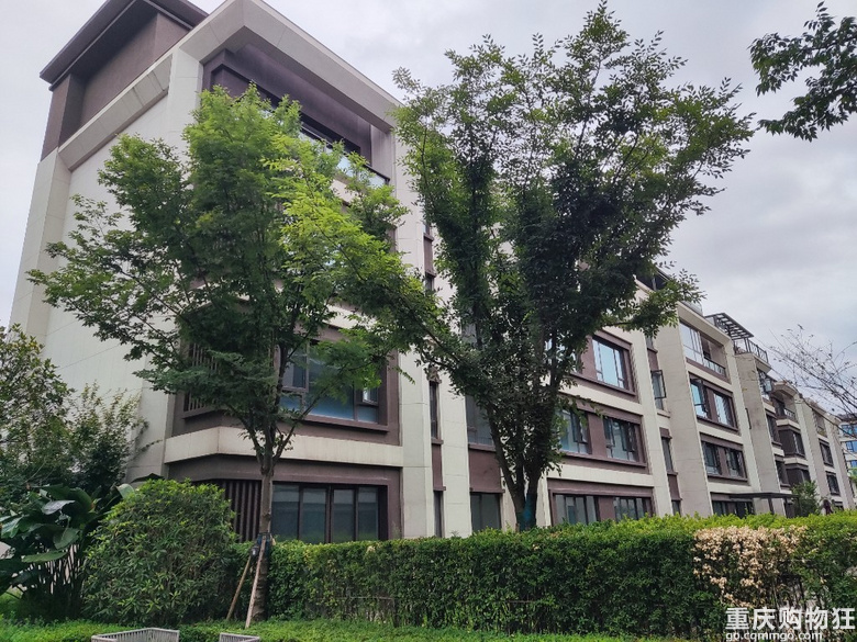 龙兴龙湖长滩原麓听麓