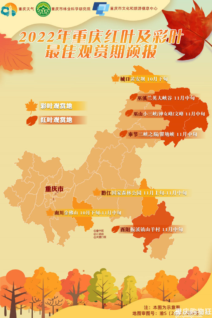 2022重庆红叶观赏指南