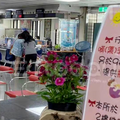 芒果亲闺女陈乔恩闪婚，肚子大一圈，确认怀了？