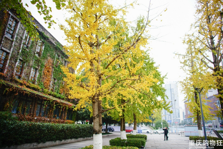 金色的幸福广场和多彩百林湖