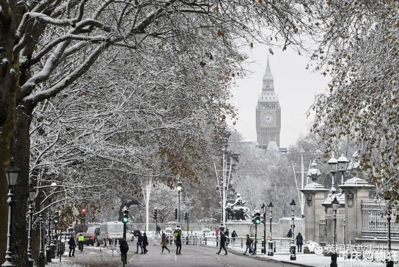 英国遭遇恐怖寒潮！大雪搞瘫飞机铁路，儿童坠入冰湖死亡…
