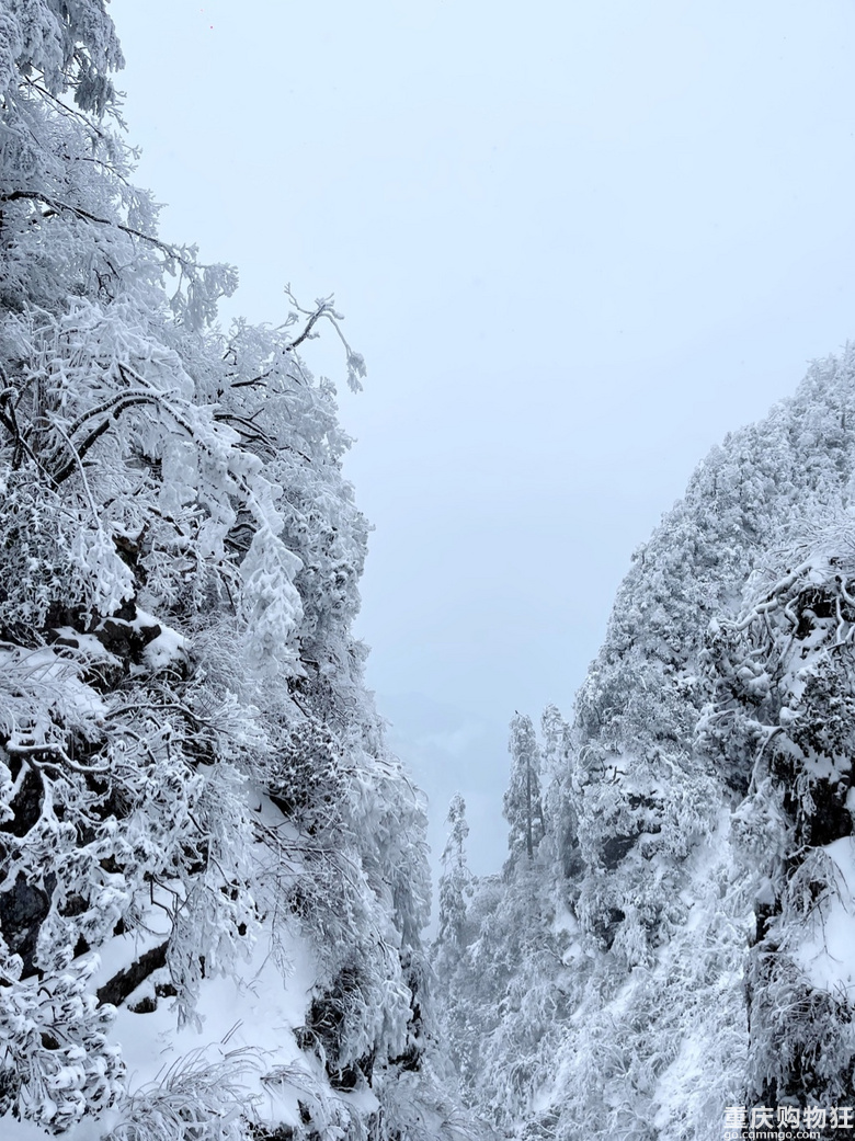 2023年，在峨眉山的第一场雪…