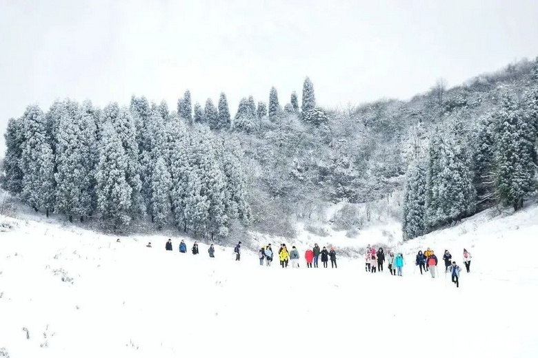 重庆经典一天徒步，冬季看雪路线，七鹿坪