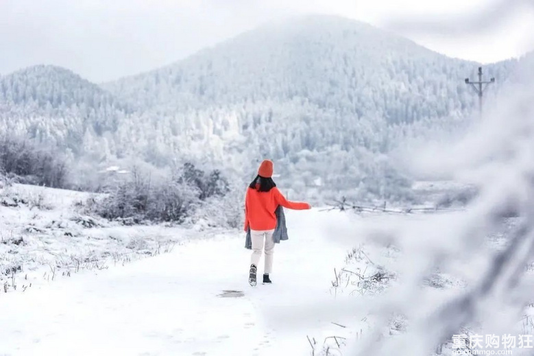 重庆经典一天徒步，冬季看雪路线，七鹿坪