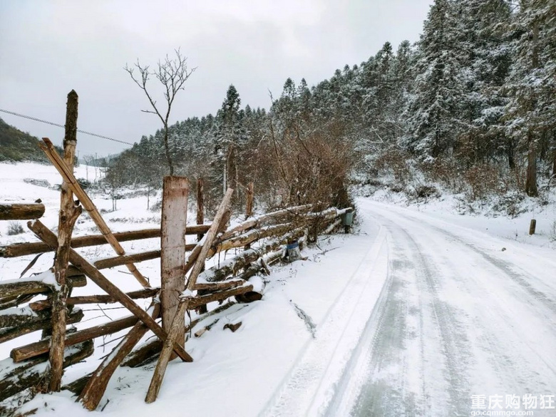 重庆经典一天徒步，冬季看雪路线，七鹿坪