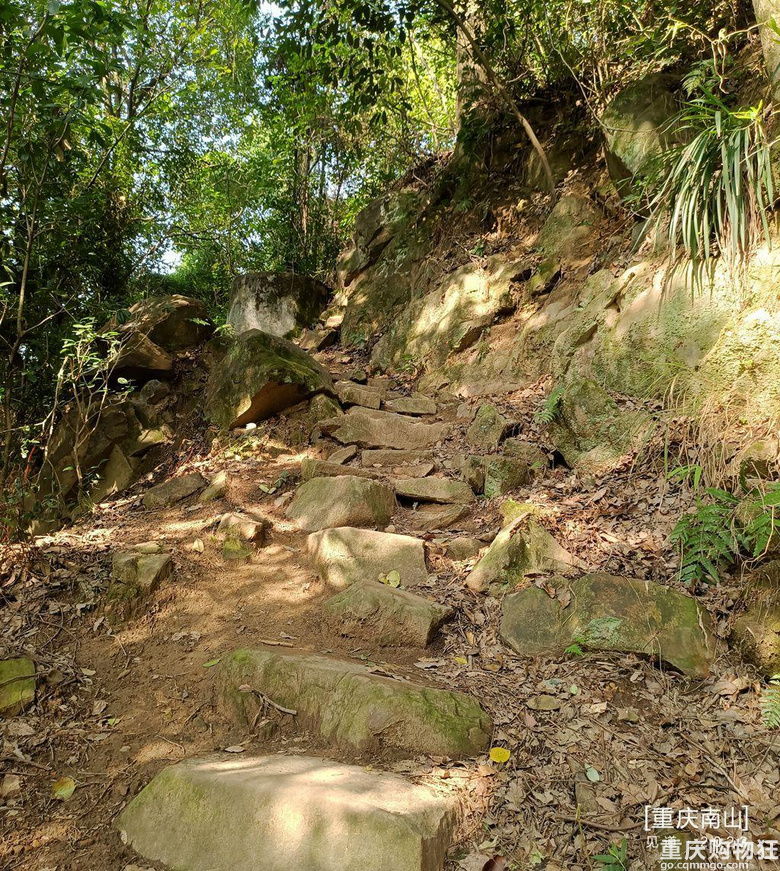 重庆南山上有一座超级无敌视野的免费观景台，南山“相思塔”火了