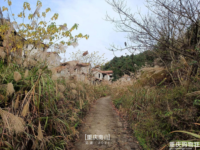 重庆南山上有一座超级无敌视野的免费观景台，南山“相思塔”火了