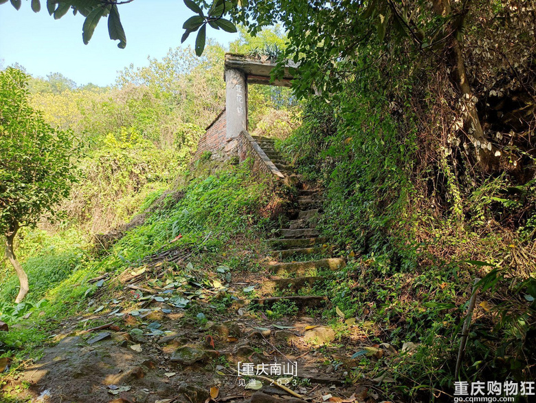 重庆南山上有一座超级无敌视野的免费观景台，南山“相思塔”火了