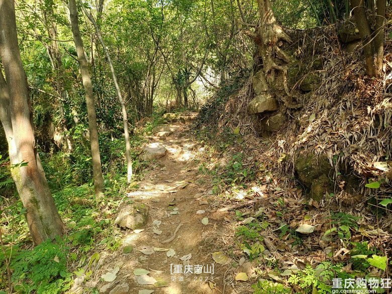 重庆南山上有一座超级无敌视野的免费观景台，南山“相思塔”火了