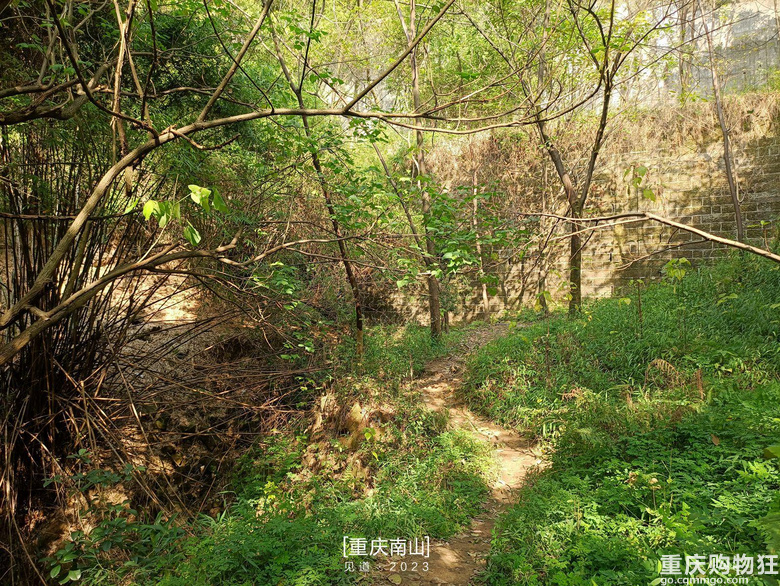 重庆南山上有一座超级无敌视野的免费观景台，南山“相思塔”火了