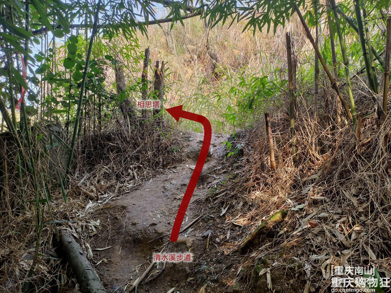 重庆南山上有一座超级无敌视野的免费观景台，南山“相思塔”火了