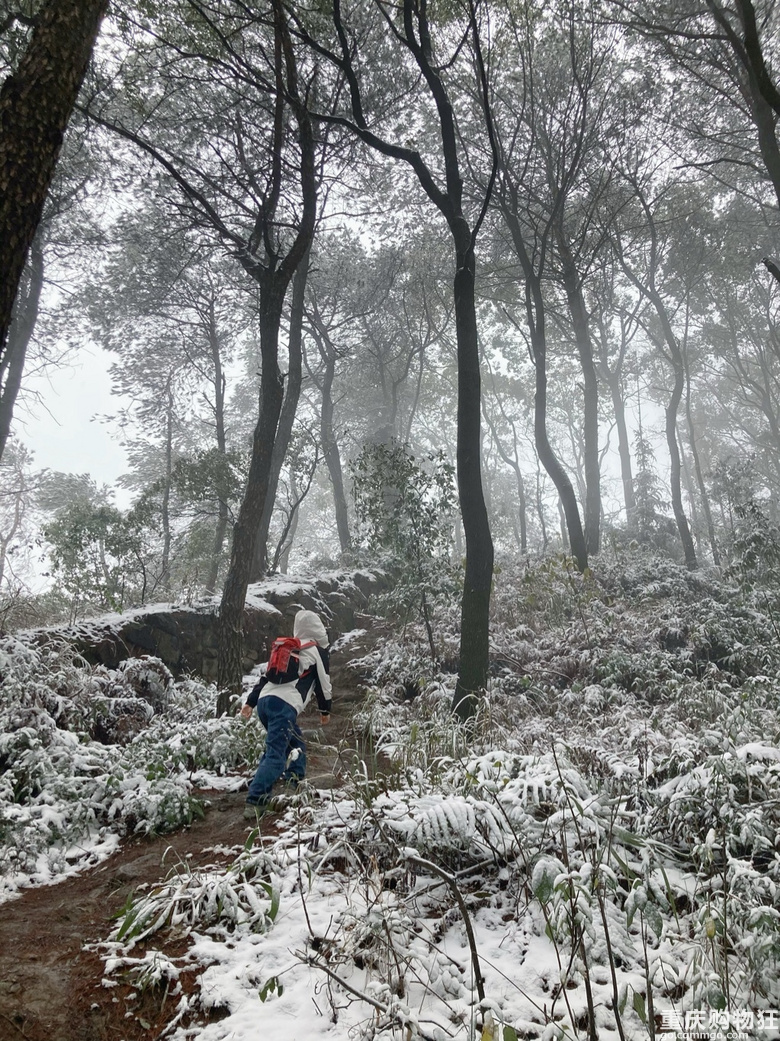 南山居然有雪也，南方人对雪的执恋（打包带走）