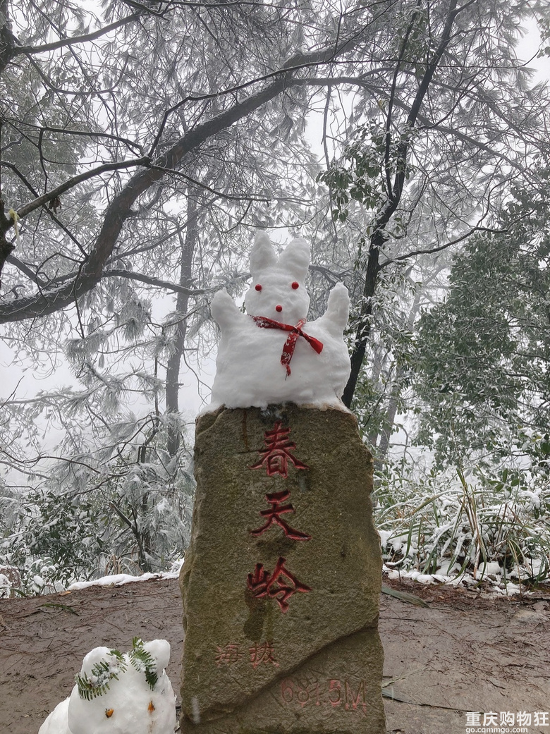 南山居然有雪也，南方人对雪的执恋（打包带走）