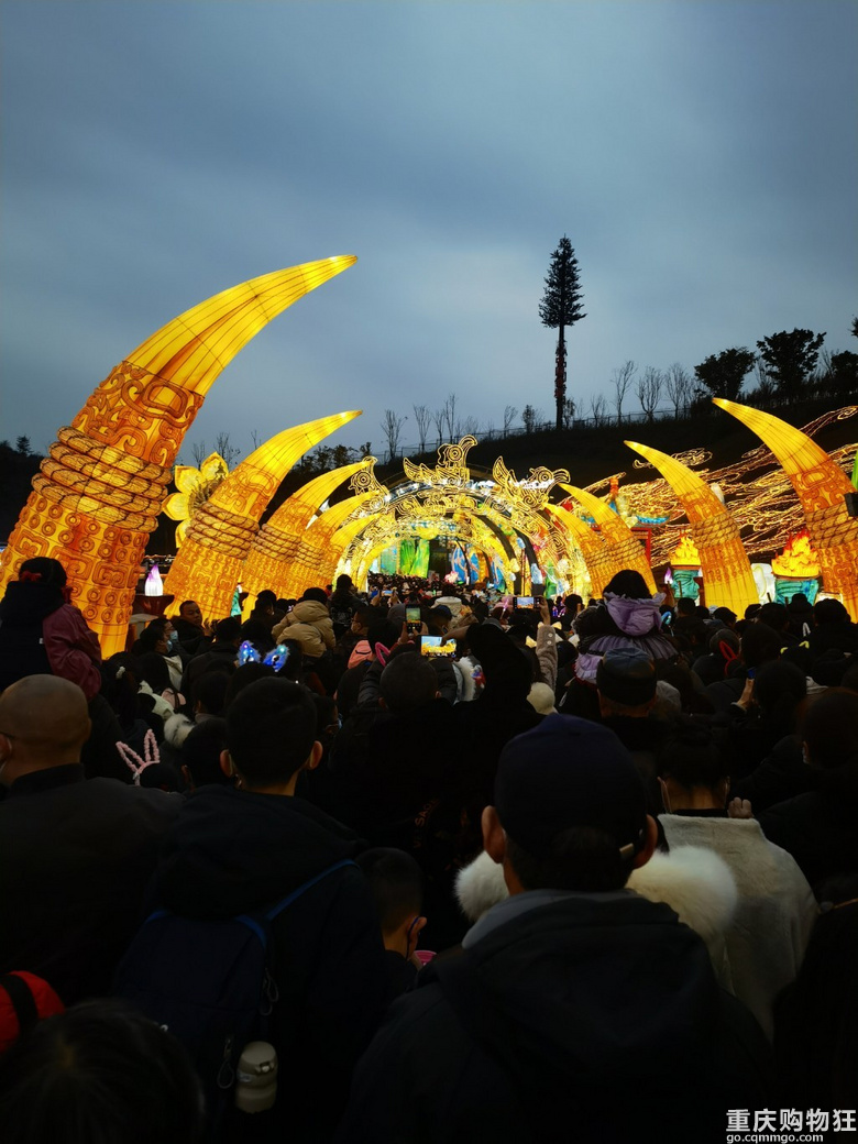 2023年游自贡灯会