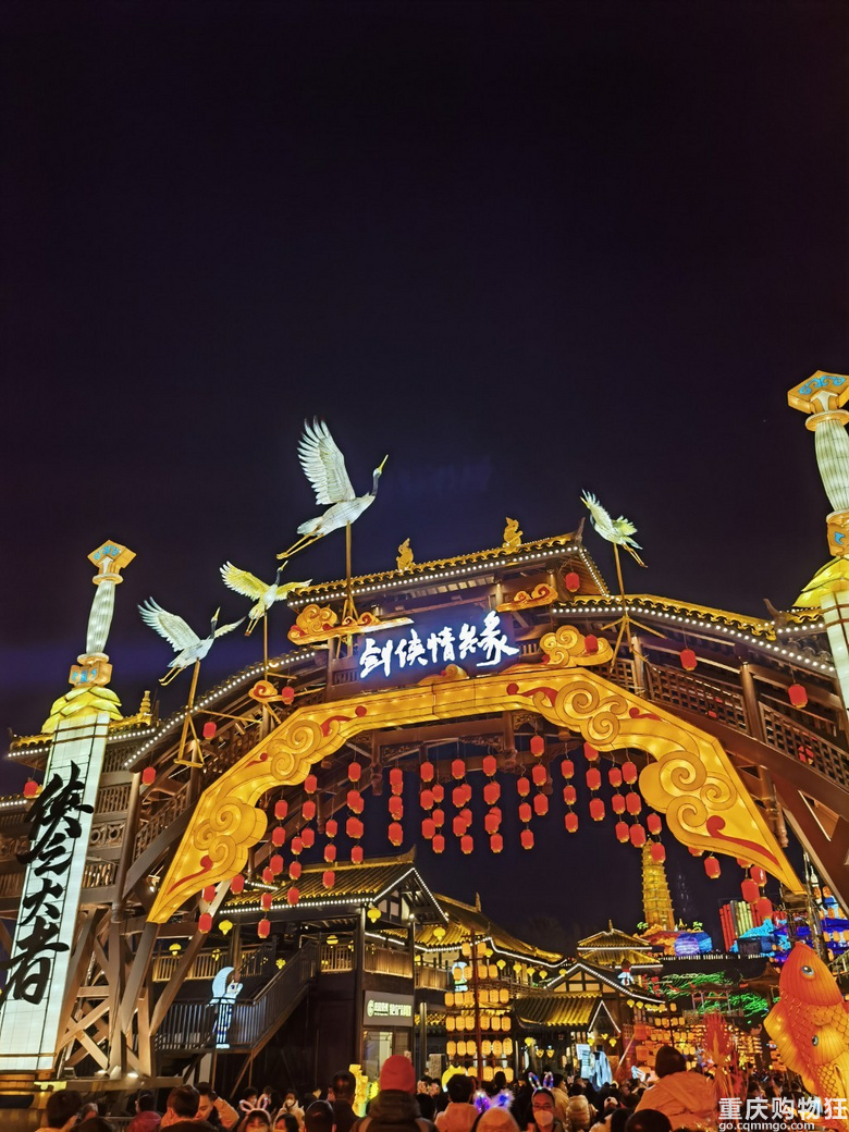 2023年游自贡灯会
