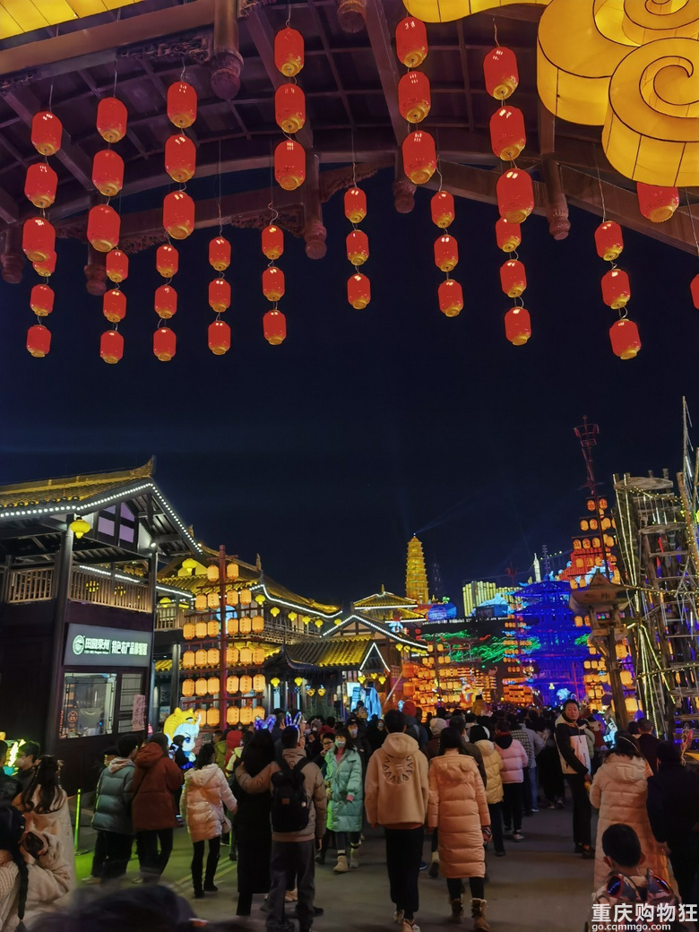 2023年游自贡灯会