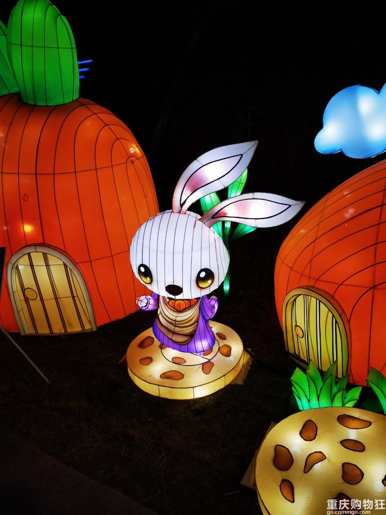 2023年游自贡灯会