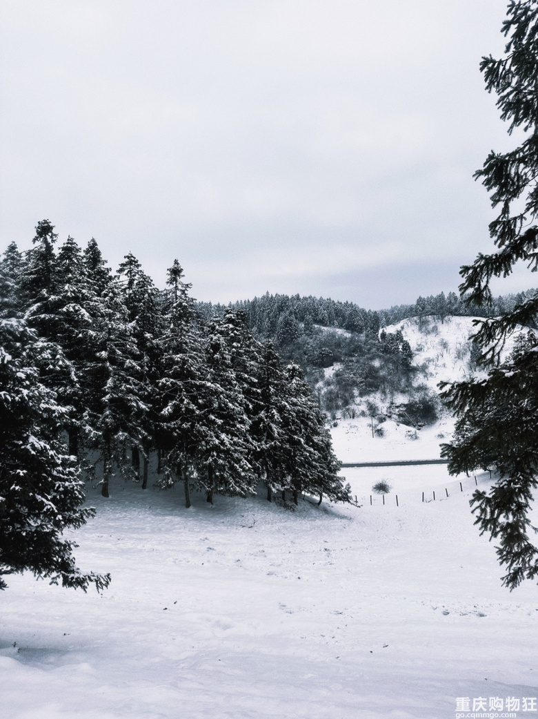 仙女山的雪景真美