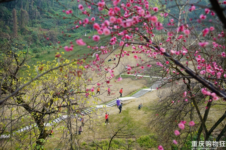 山一程，水一程；路一程，花一程。