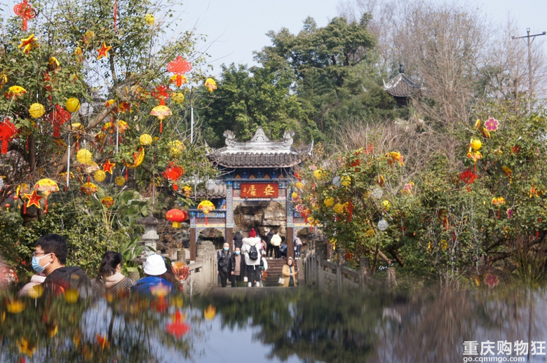 去年春节看了自贡灯会，今年看个铜梁龙吧
