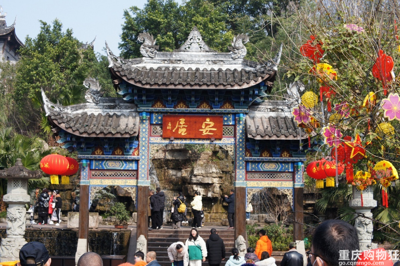 去年春节看了自贡灯会，今年看个铜梁龙吧