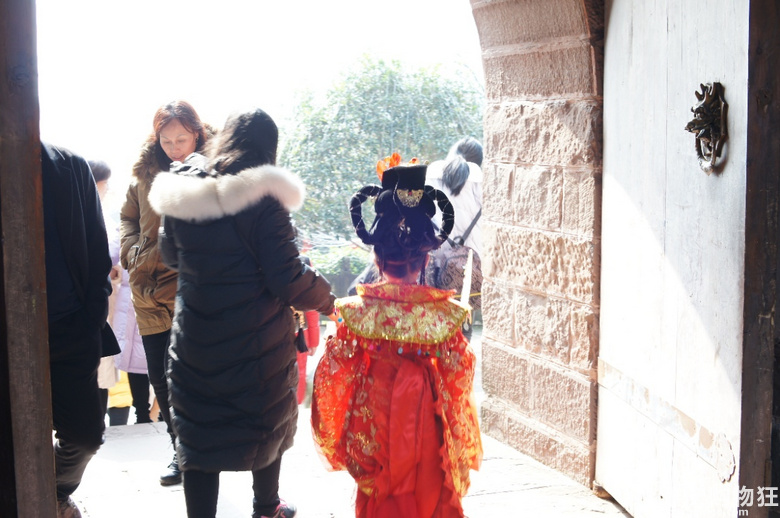 去年春节看了自贡灯会，今年看个铜梁龙吧