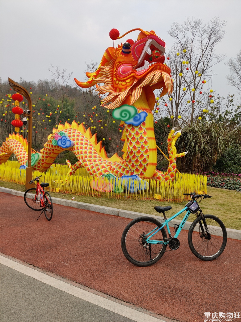 去年春节看了自贡灯会，今年看个铜梁龙吧