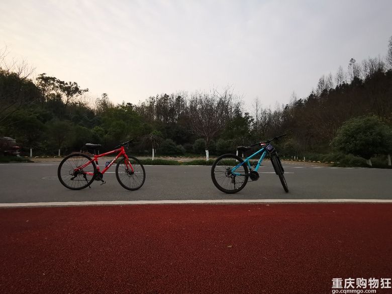 去年春节看了自贡灯会，今年看个铜梁龙吧