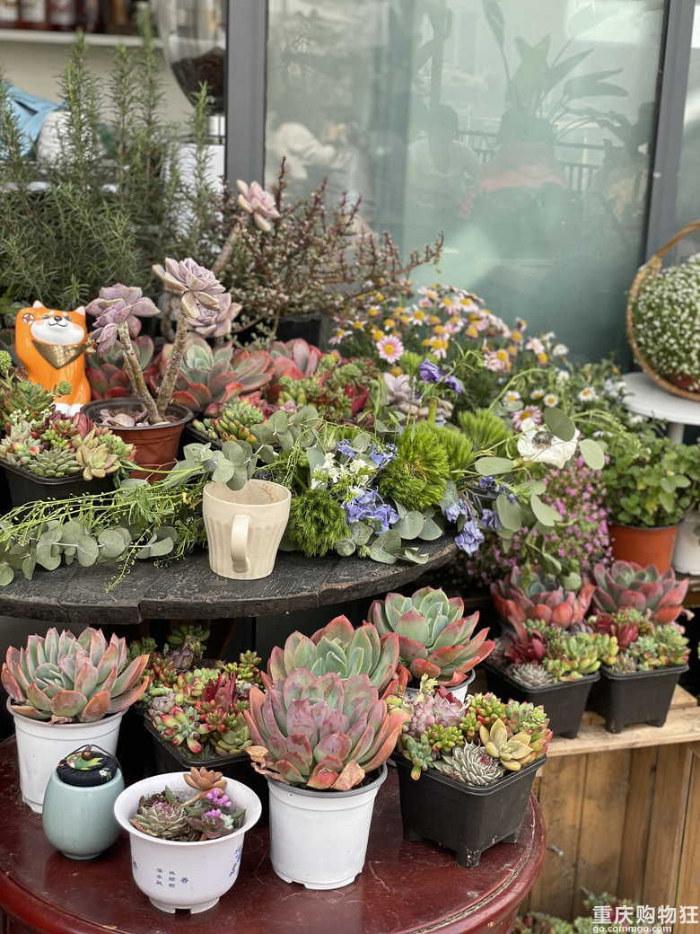 重庆本地人也会去的wanghong地，看江、晒太阳、喝茶、走精品步行路线