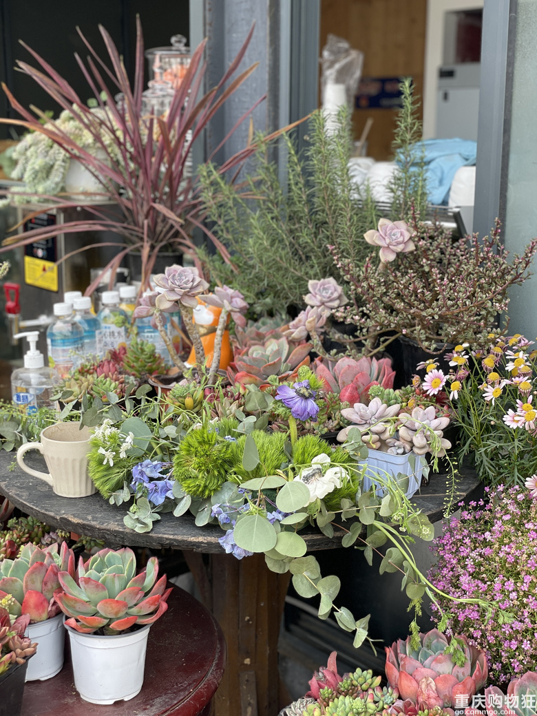重庆本地人也会去的wanghong地，看江、晒太阳、喝茶、走精品步行路线