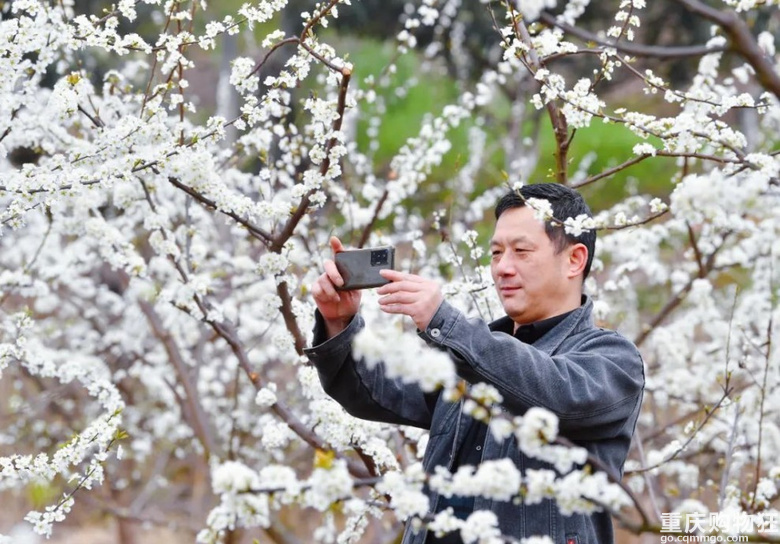 重庆各区县赏花地，为你打包好了！