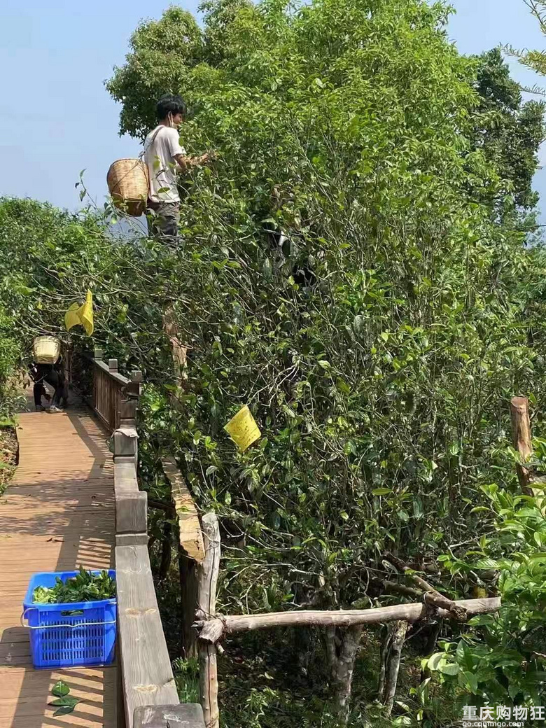 三岁宝妈的创业记录
