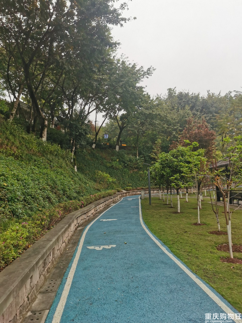 主城核心区内惊现绣球花，登山望远还要得