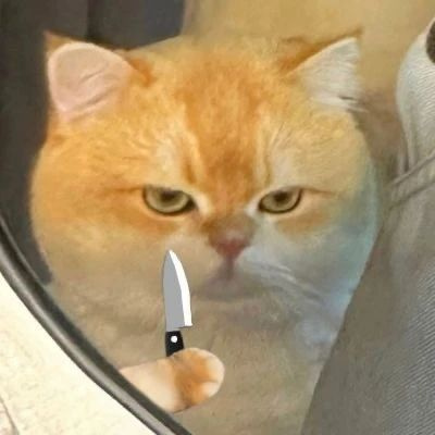 《再也不敢在家庭群辟谣了》