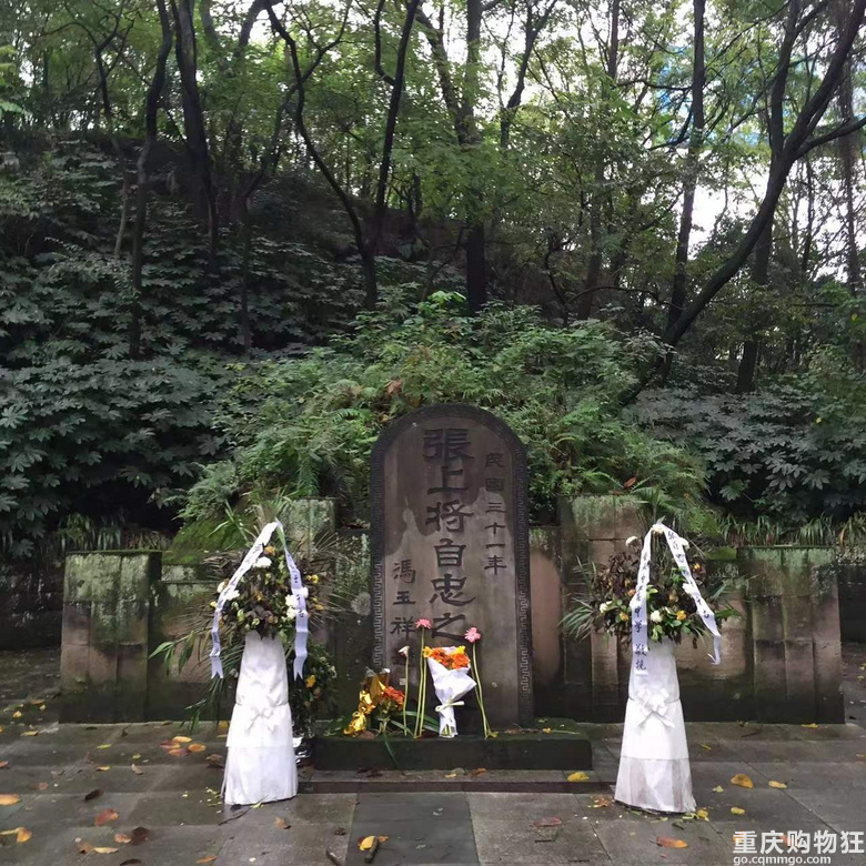 [北碚]除了西南大学，缙云山，还有“梅花山”！