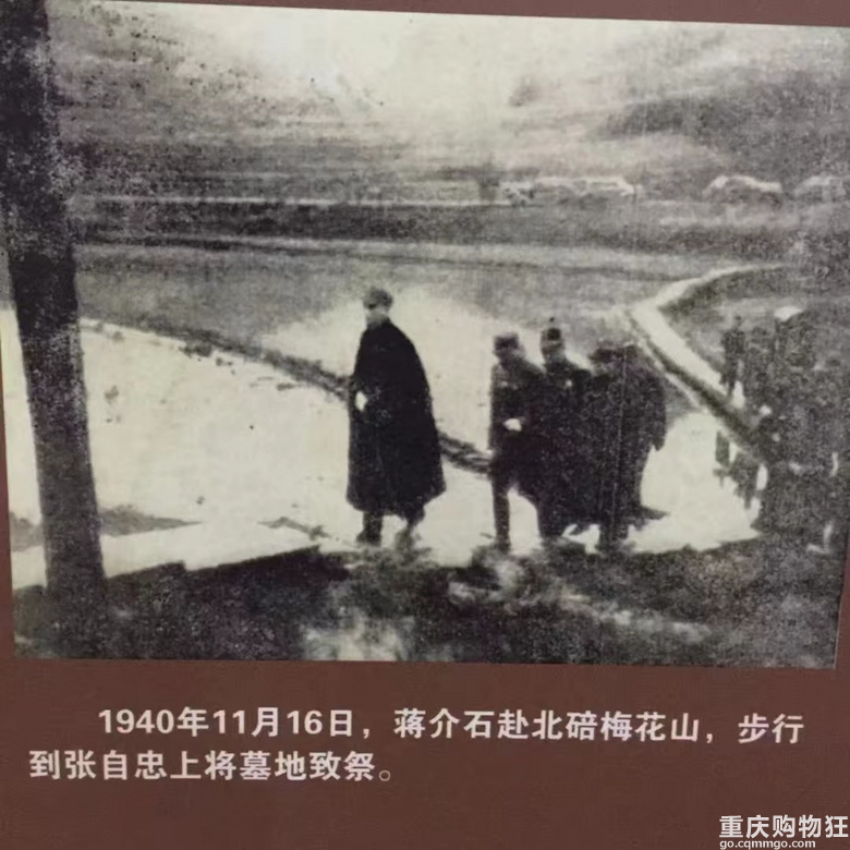 [北碚]除了西南大学，缙云山，还有“梅花山”！