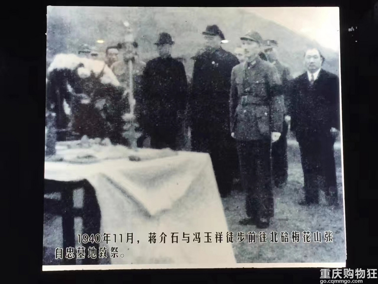 [北碚]除了西南大学，缙云山，还有“梅花山”！