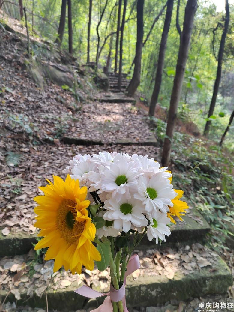 都是风景，幸会。