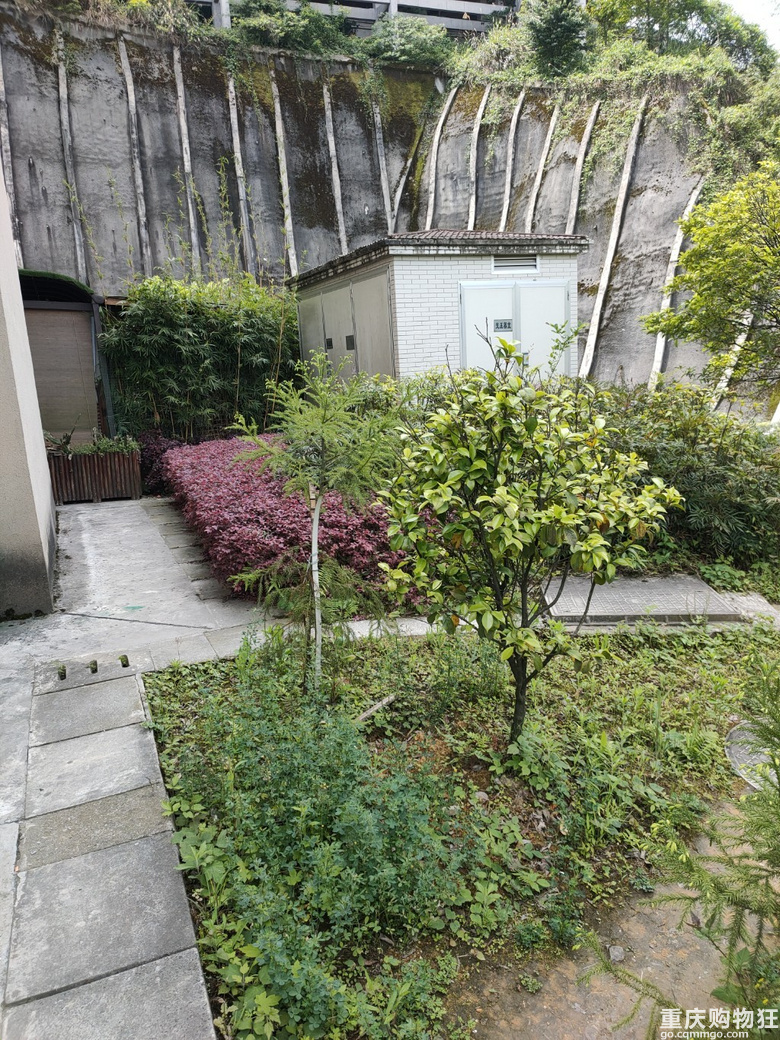 黑山谷避暑房一楼，带200个平方花园出售