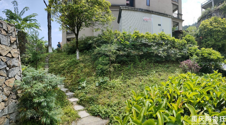 黑山谷避暑房一楼，带200个平方花园出售