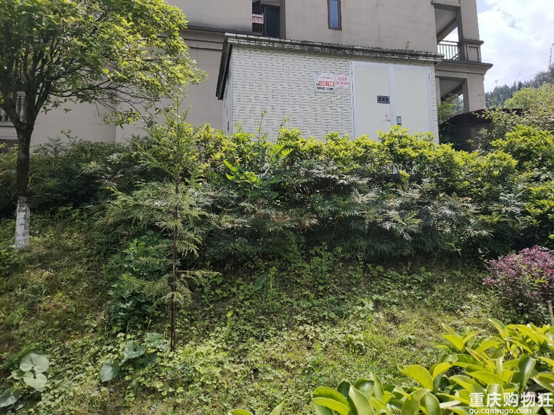 黑山谷避暑房一楼，带200个平方花园出售